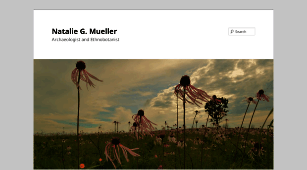 ngmueller.net