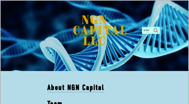 ngncapital.com