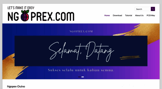 ngoprex.com