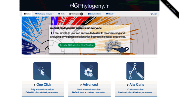 ngphylogeny.fr