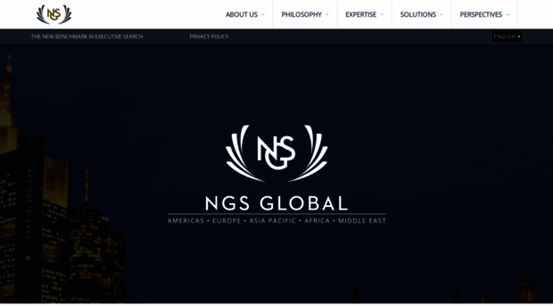 ngs-global.com