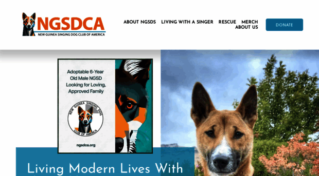ngsdca.org