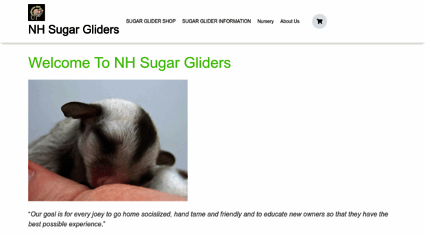 nhsugargliders.com