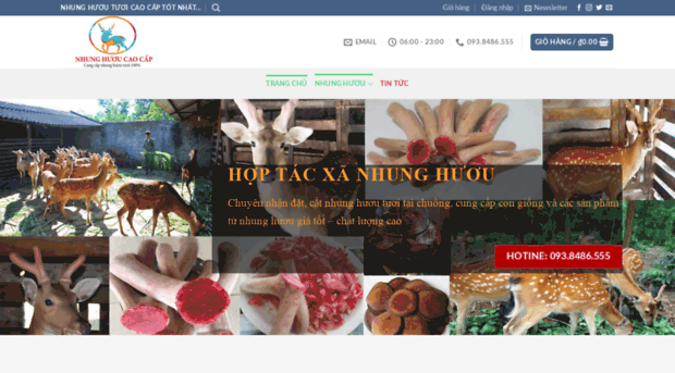 nhunghuoucaocap.com