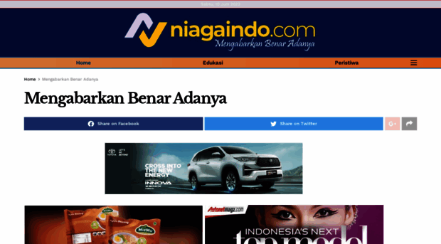 niagaindo.com