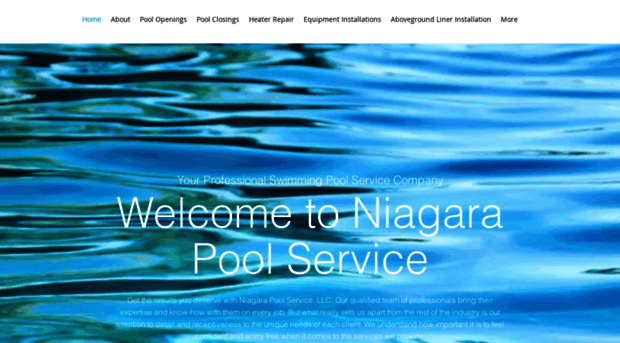 niagarapoolservice.com