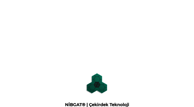 nibgat.com