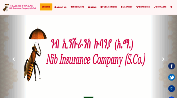 nibinsurancethiopia.com