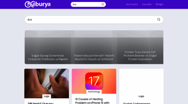 niburya.com
