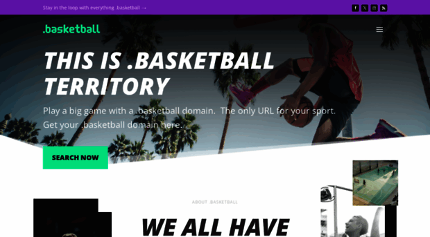 nic.basketball