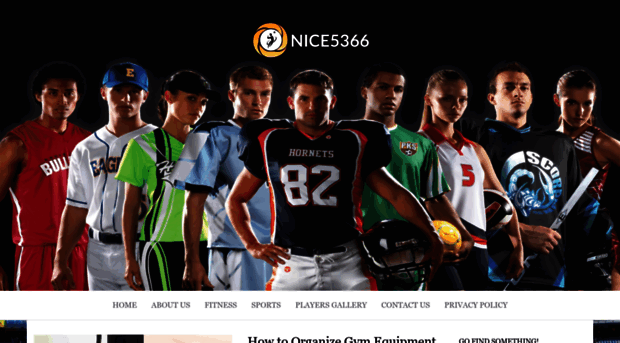 nice5366.com