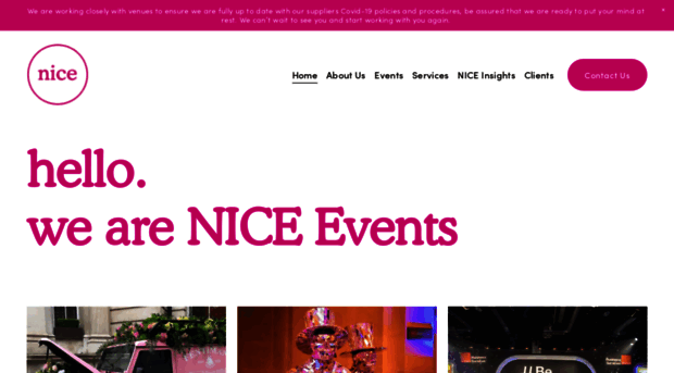 niceltd.co.uk