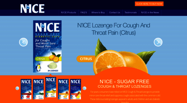 niceproducts.com