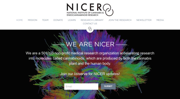 nicernow.org