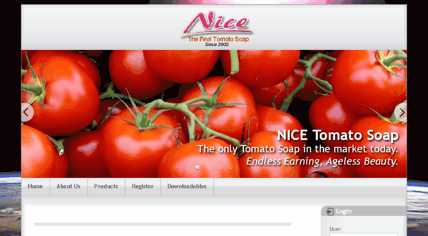 nicetomatosoap.com