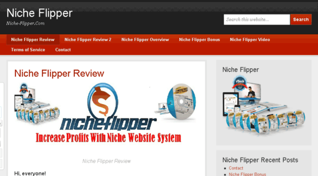 niche-flipper.com