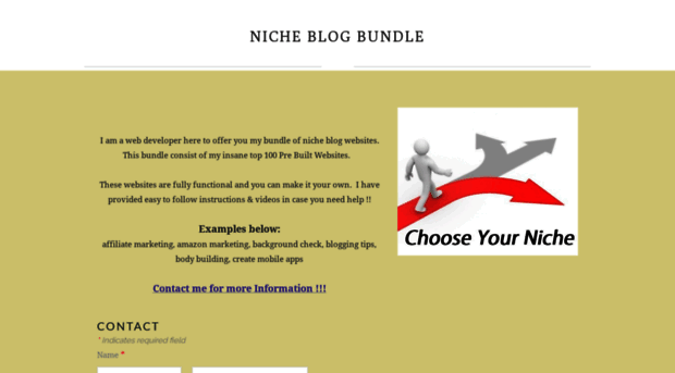 nicheblogbundle.weebly.com