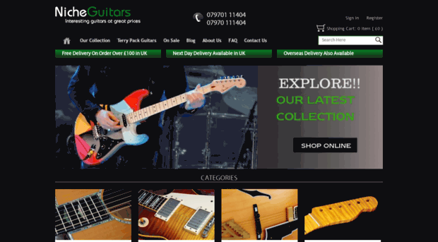 nicheguitars.com