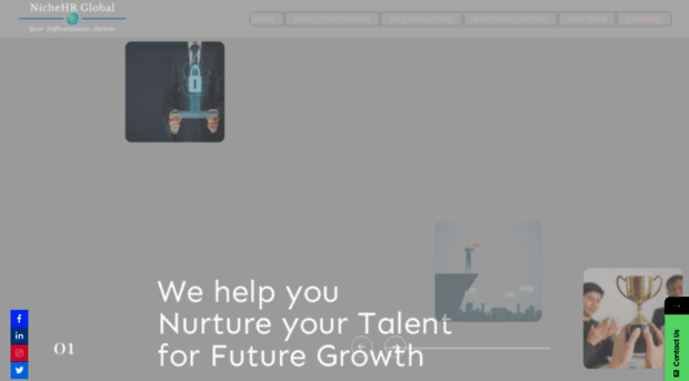 nichehrglobal.com