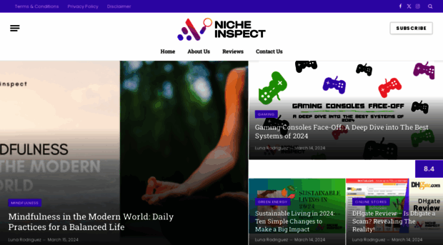 nicheinspect.com