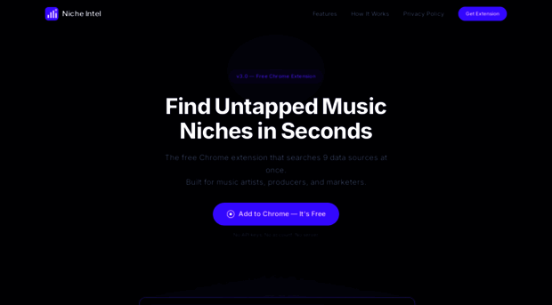 nicheint.com