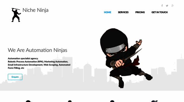 nicheninja.in