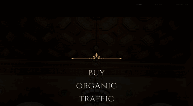 nicheonlinetraffic.yolasite.com