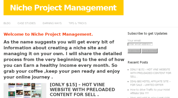 nicheprojectmanagement.info