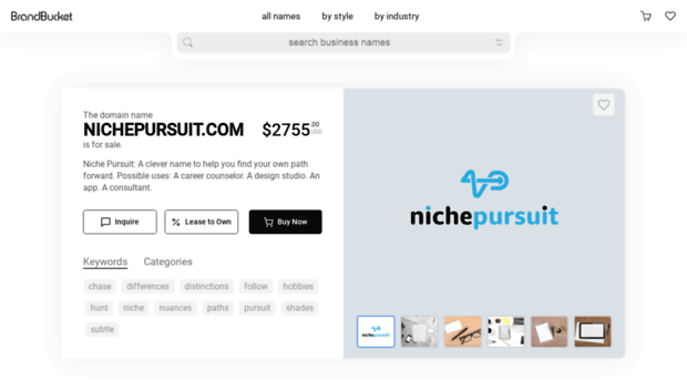 nichepursuit.com