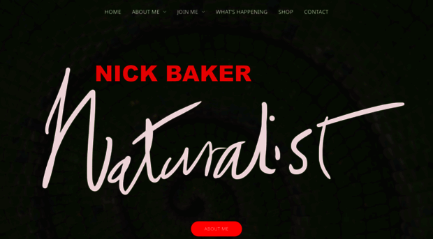 nickbaker.tv