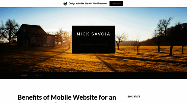 nicksavoiablog.wordpress.com