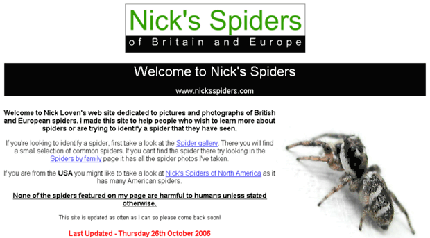 nicksspiders.com