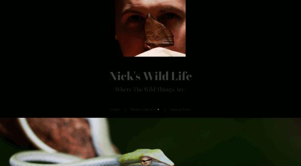 nickswildlife.org