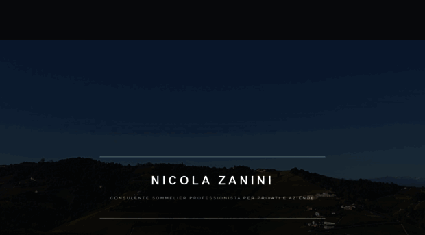 nicolazanini.com