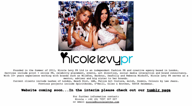 nicolelevypr.com