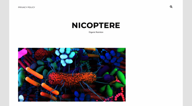 nicoptere.net