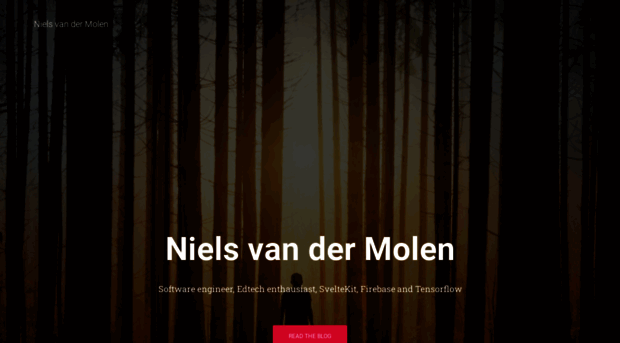 nielsvandermolen.com