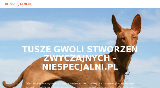 niespecjalni.pl