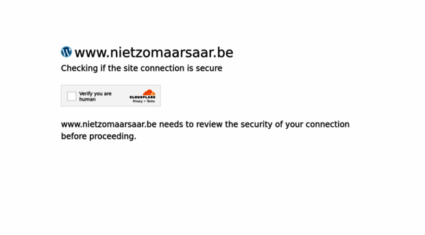 nietzomaarsaar.be