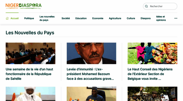 nigerdiaspora.net