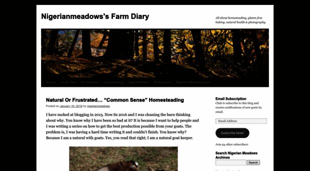 nigerianmeadows.wordpress.com