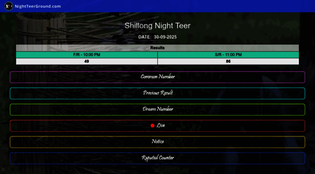 nightteerground.com