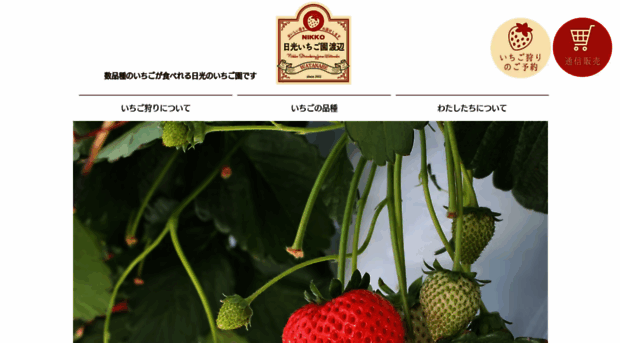 nikko-strawberry.com