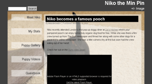 niko-the-minpin.com