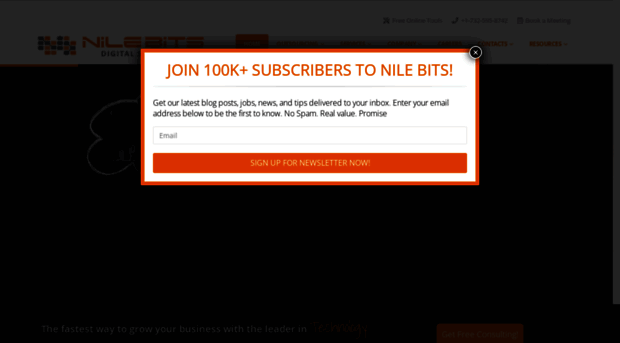 nilebits.com