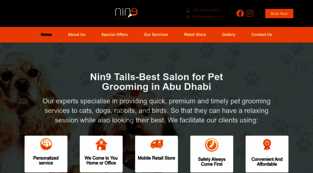 nin9tails.com