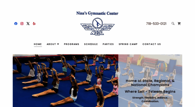 ninasgymnastics.org