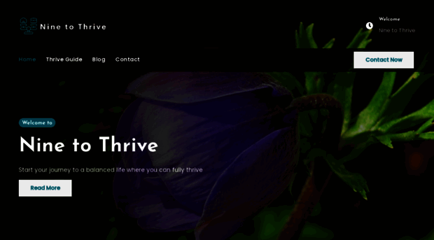 nine-to-thrive.com