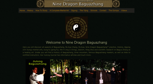ninedragonbaguazhang.com