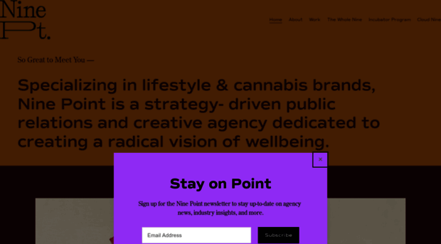 ninepointagency.com